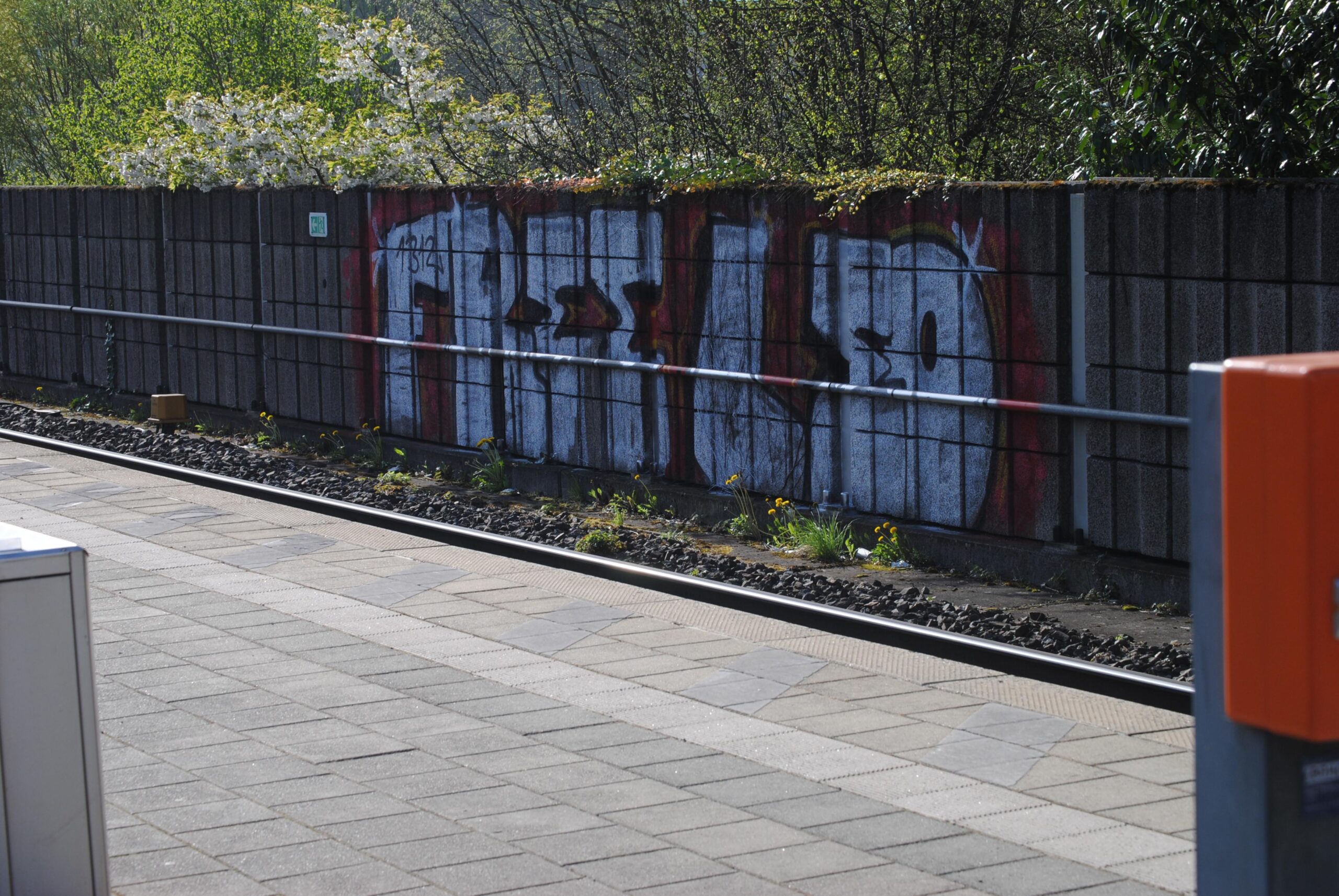 „FREE LEO“ Graffiti in Augsburg